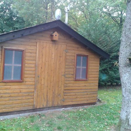 Vila Chalet Imme Resteigne Exteriér fotografie